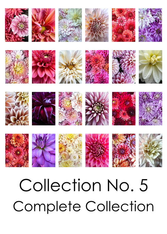 Collection No. 5 - COMPLETE COLLECTION